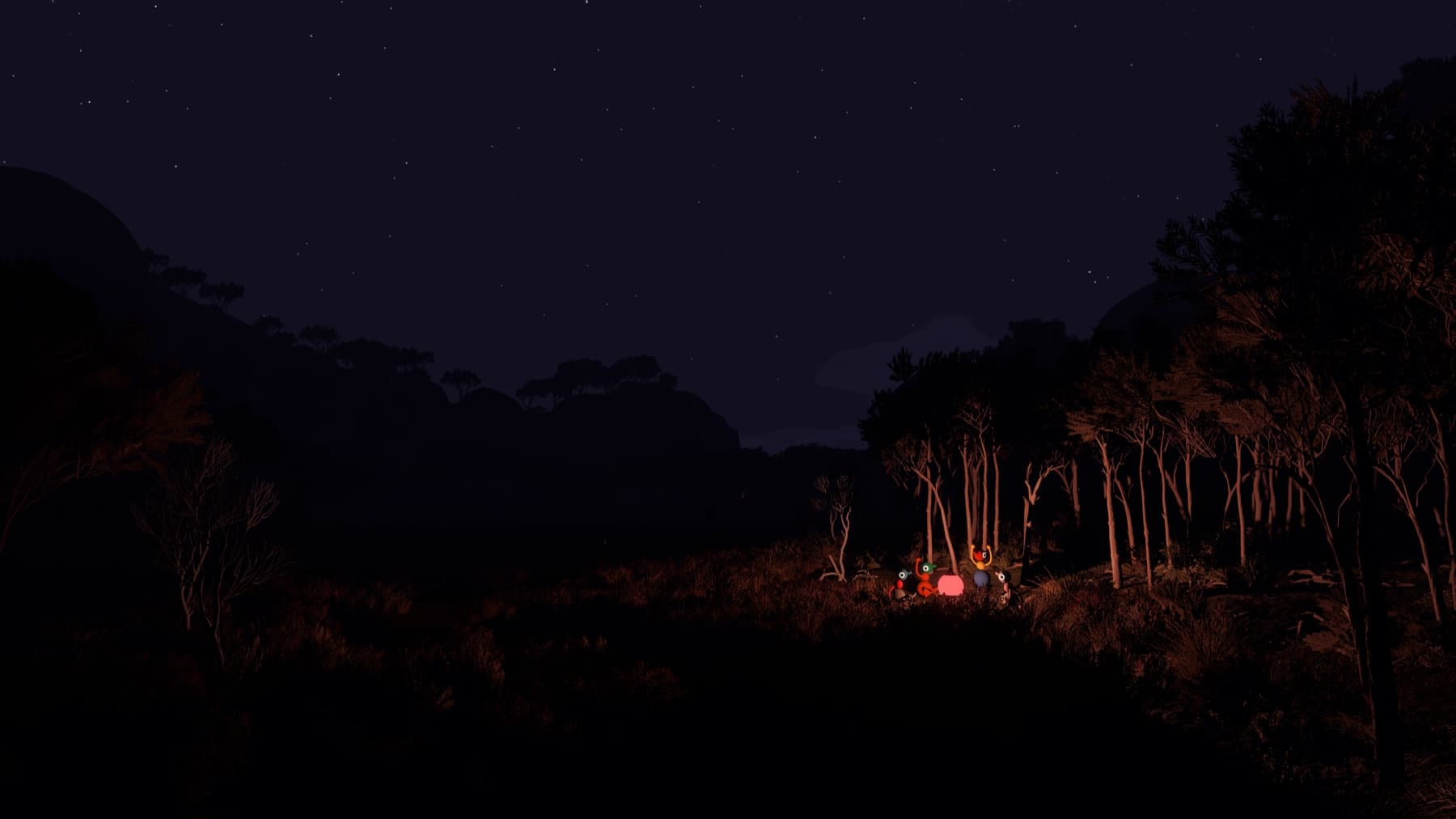 A Big Walk group exploring the island at night